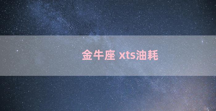 金牛座 xts油耗